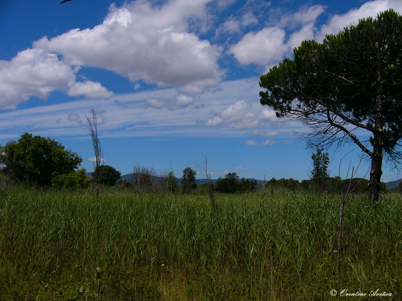 Paisaje nuboso