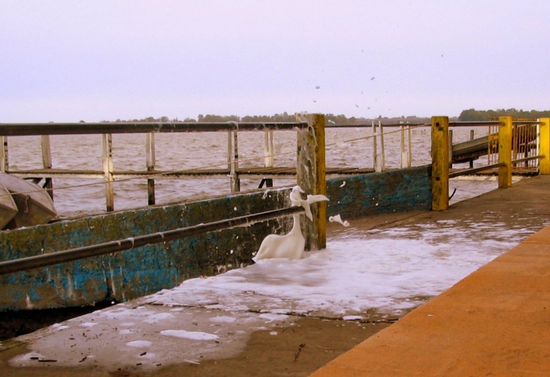 LA BLANCA ESPUMA