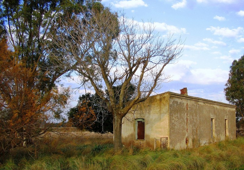 LTIMOS DAS DE UNA CASA