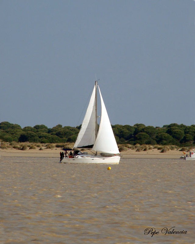 Viento en popa