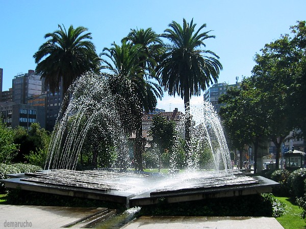 Agua y palmeras