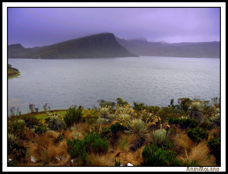 Laguna de los Tunjos...