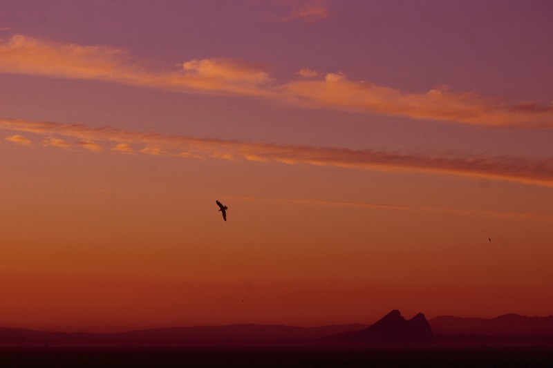 Al fondo, Gibraltar.