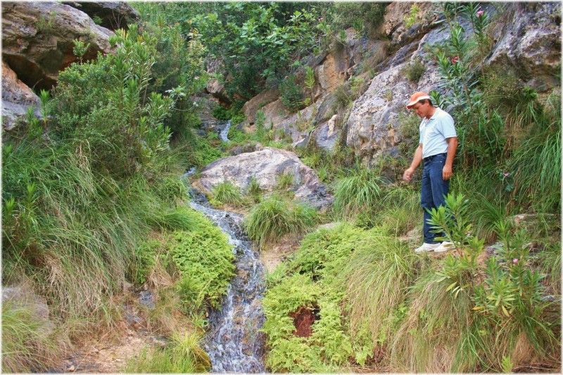 La fuente del Chorrico