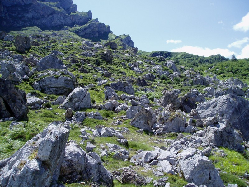 Las rocas no quieren ser cubiertas por el manto verde