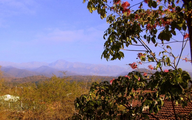 DESDE UNA VENTANA