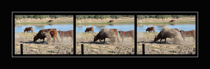 Secuencia campestre ...