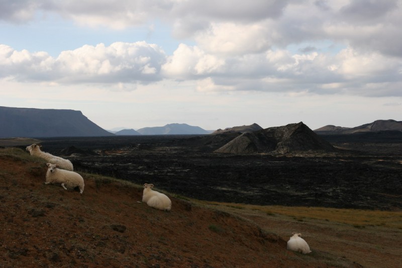 Paisaje volcnico