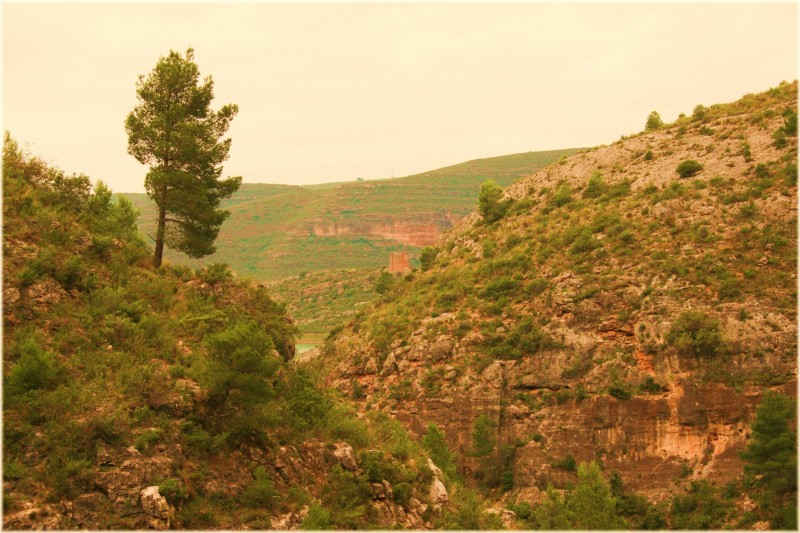 Desde la atalaya