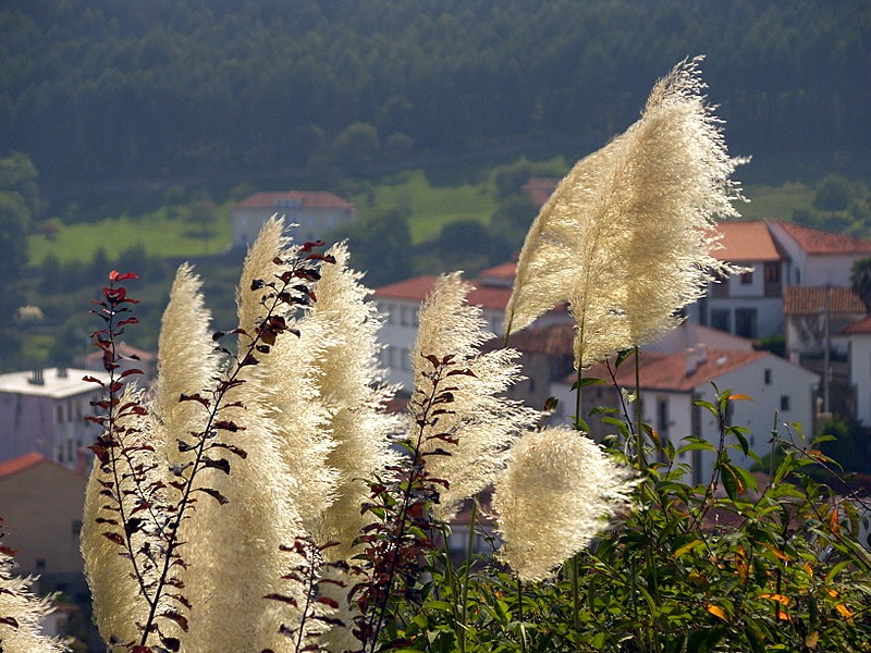 lastres