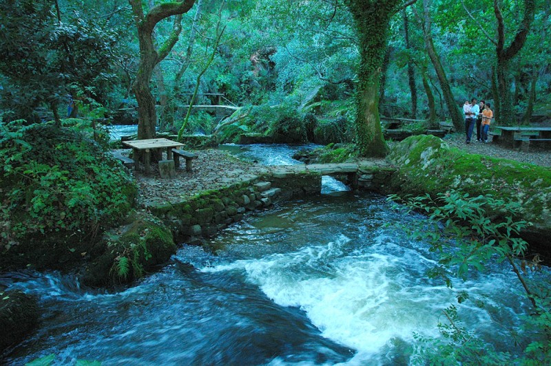 La mesa nos espera