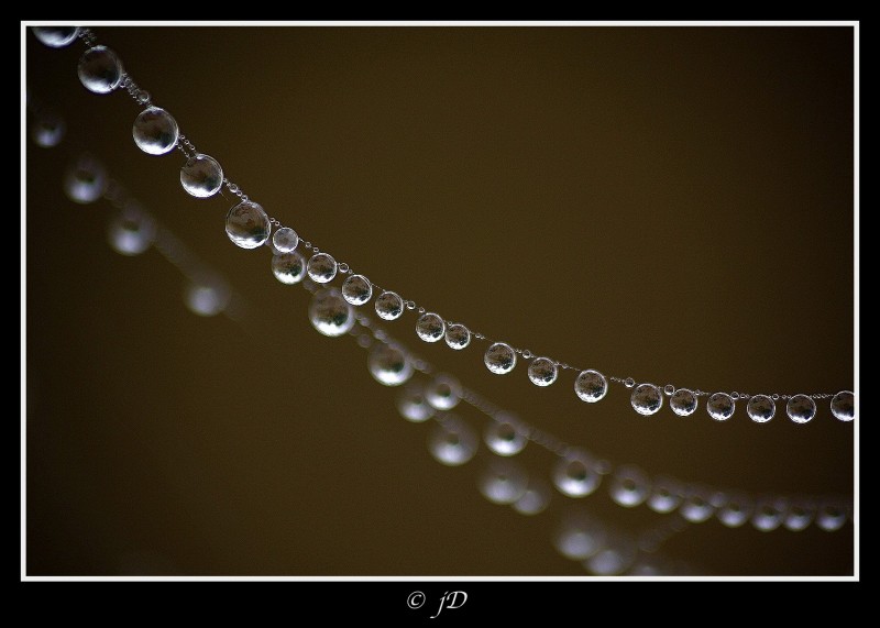 COLLAR DE AGUA