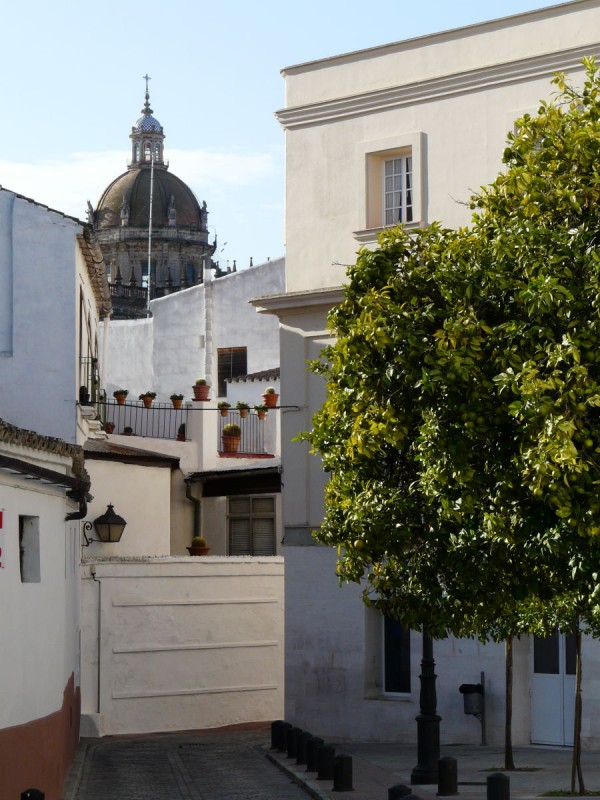 Callejeando por Jerez