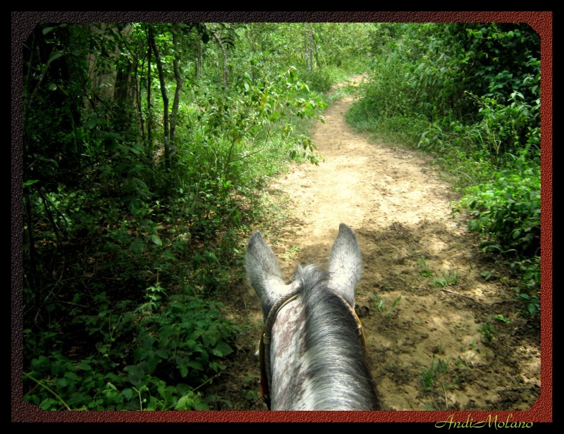 A caballo...