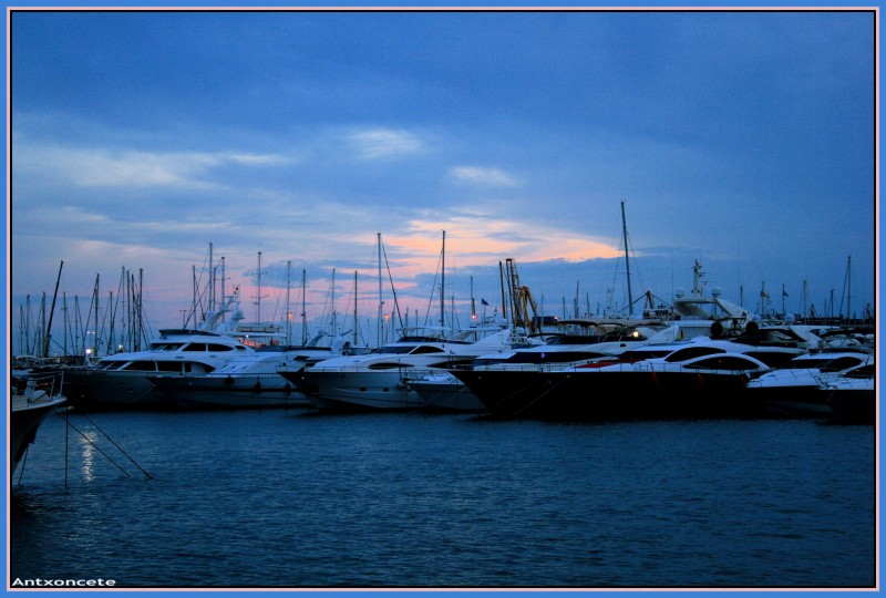 Puerto de Alicante