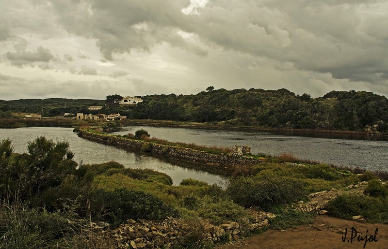 L Albufera