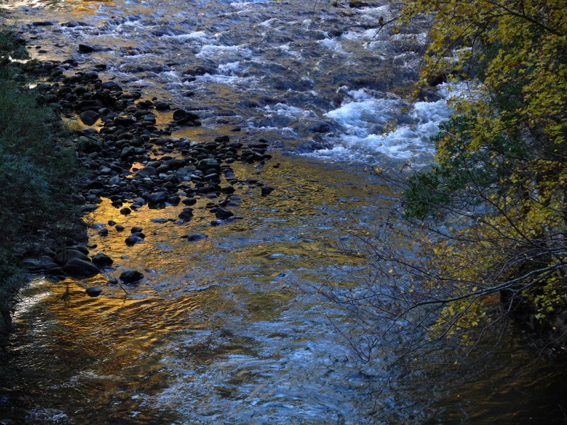 reflejos del otoo