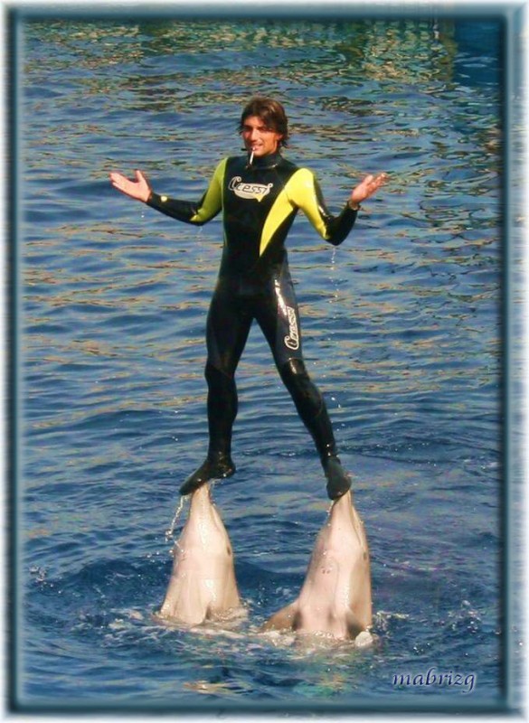 Levitando sobre delfines