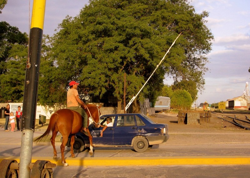 APENAS UN CUADRPEDO