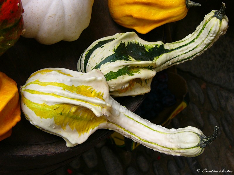 Calabazas