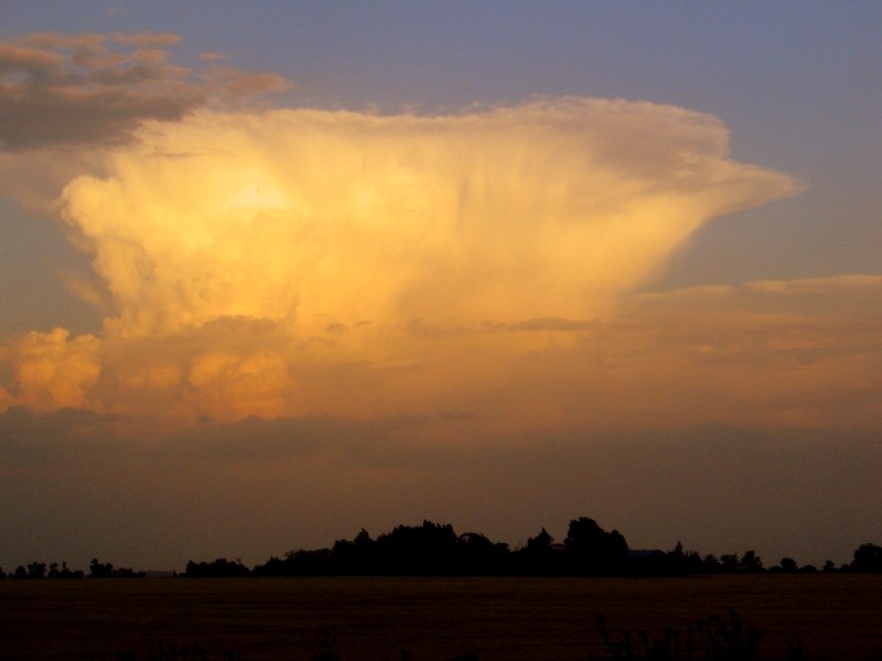 COMO AQUELLA NUBE BLANCA