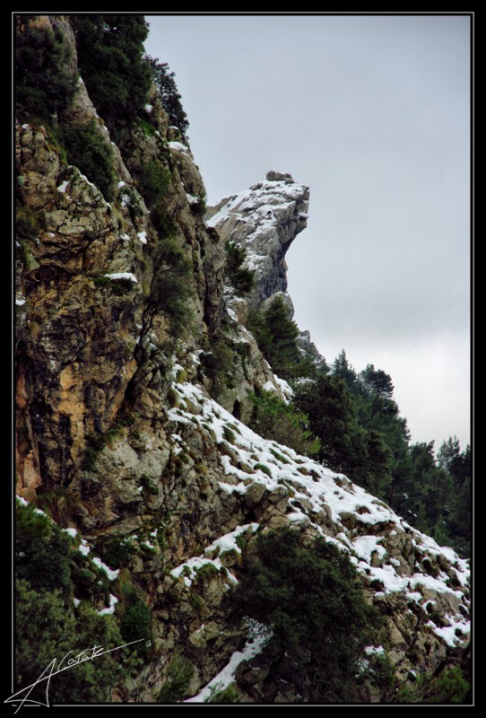 Nevada Tramuntana