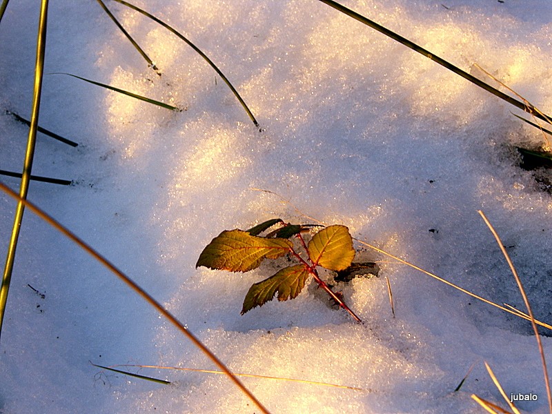 invierno