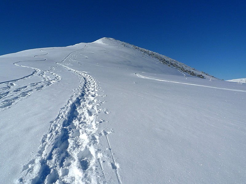 se hace camino al andar