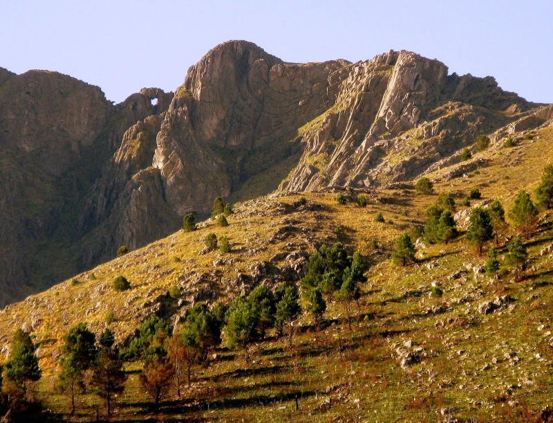 PIEDRA Y CAMINO