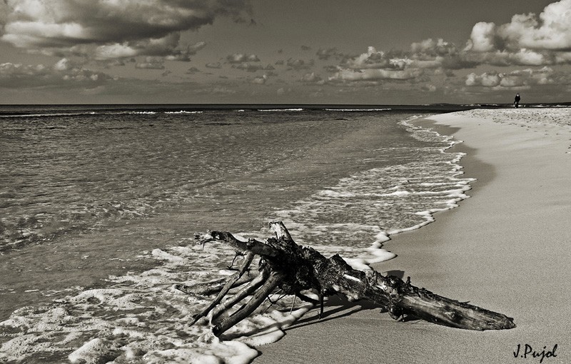 Playa de Son Bou