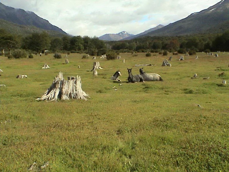 Tierra de Fuego