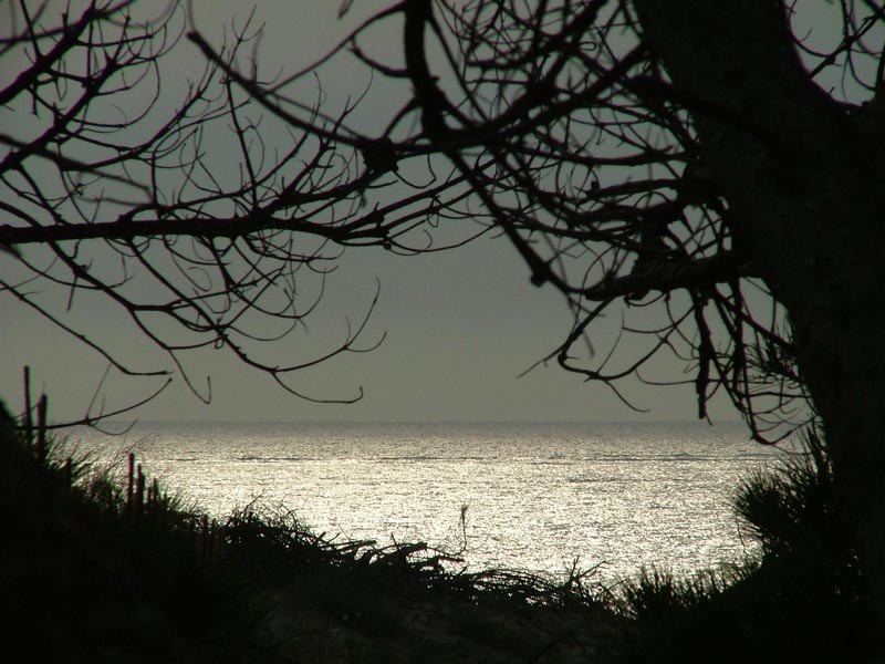 Atardecer en la Playa