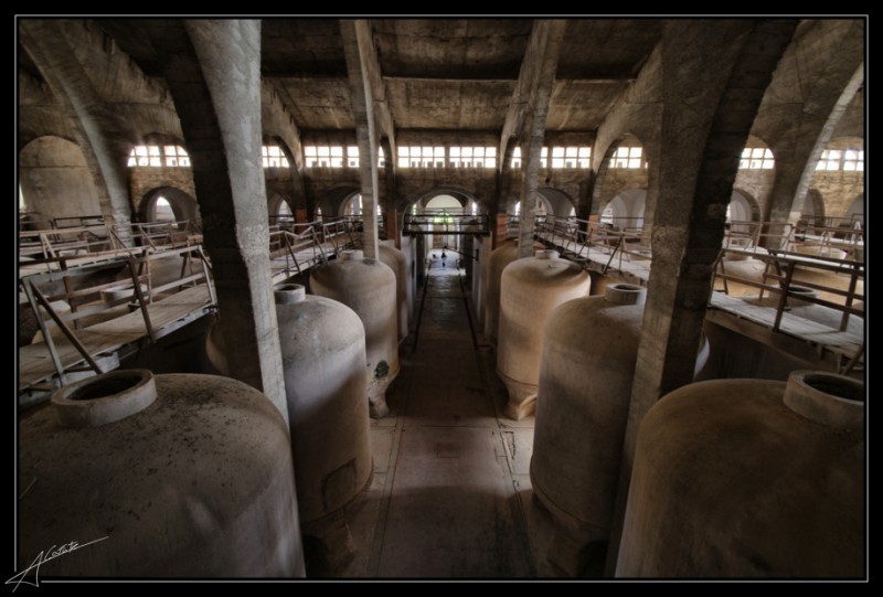 Bodega Cooperativa de Felanitx VI