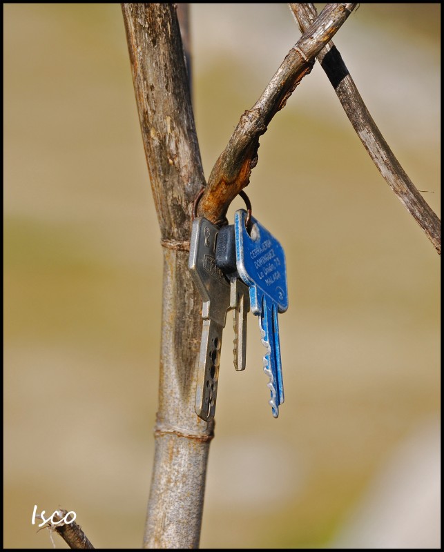 Las llaves del campo