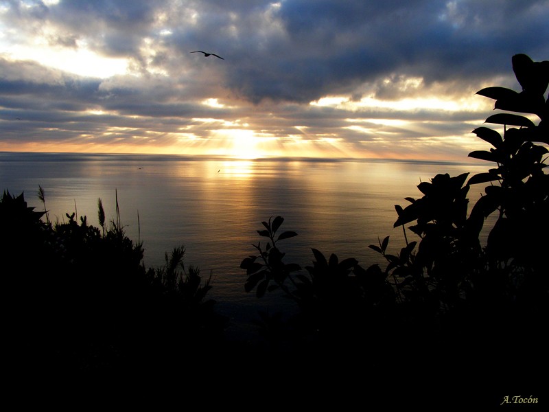 Amanece en la bahia