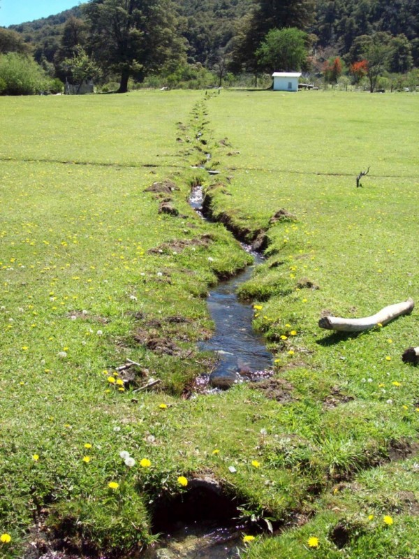 EL LAGO ME ESPERA