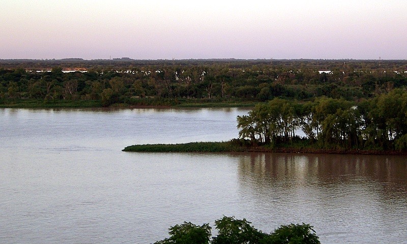 Pariente del mar, mi Paran