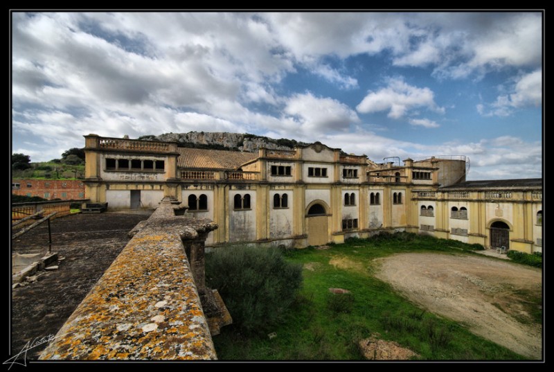 Bodega Cooperativa de Felanitx IX