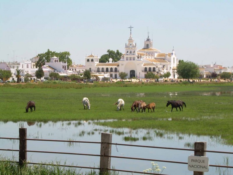 el rocio