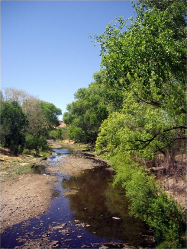 Rio Casas Grandez