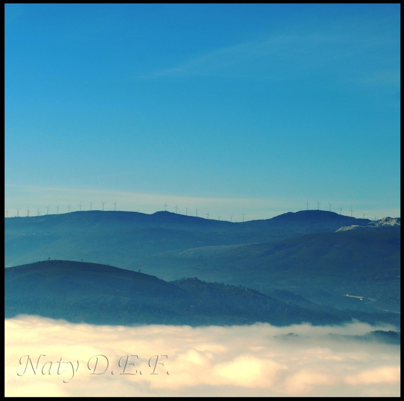 molinos de viento