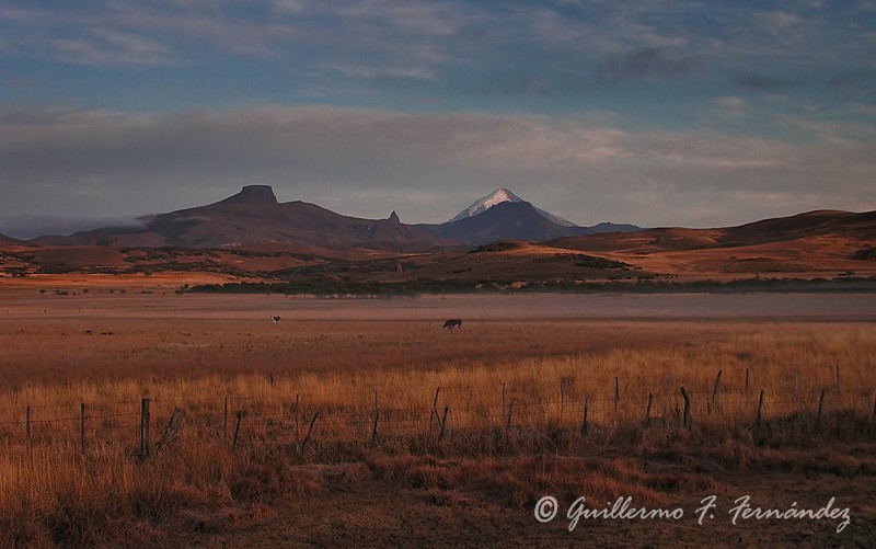 Paisaje de campo