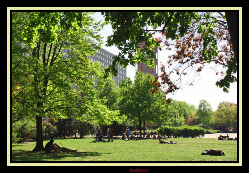 Parque,al fondo el ayuntamiento