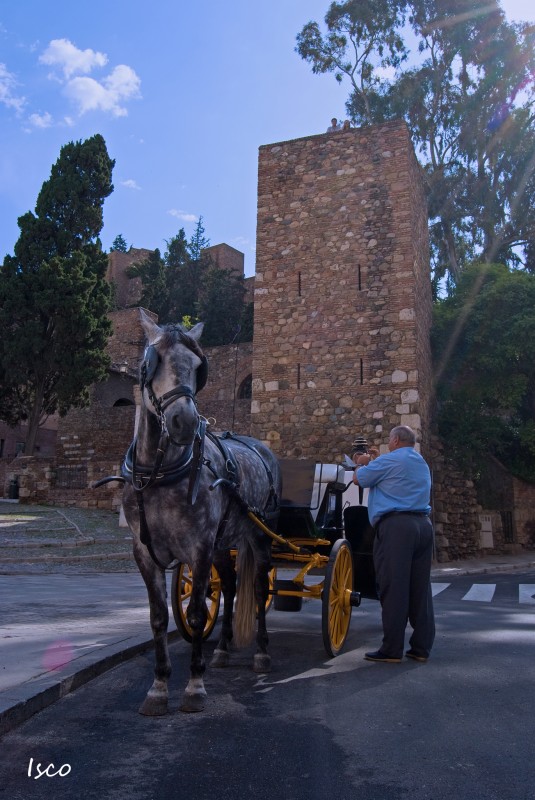 Preparando el carruaje