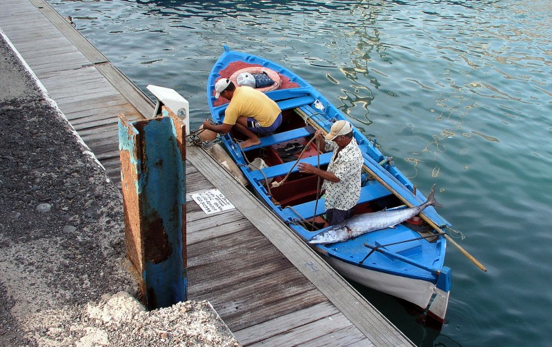 Pescadores en su faena