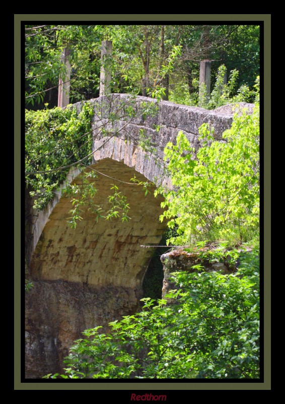 Puente romano invadido por la vegetacin