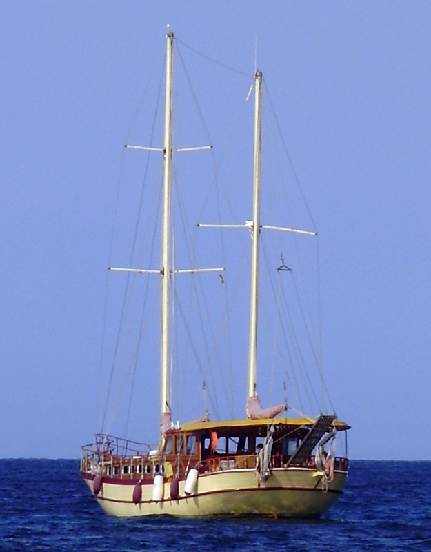 Velero Amarillo