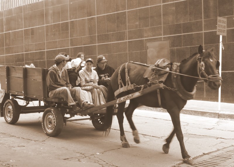 Paseo en familia