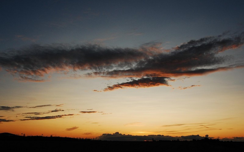 Una tarde de campo