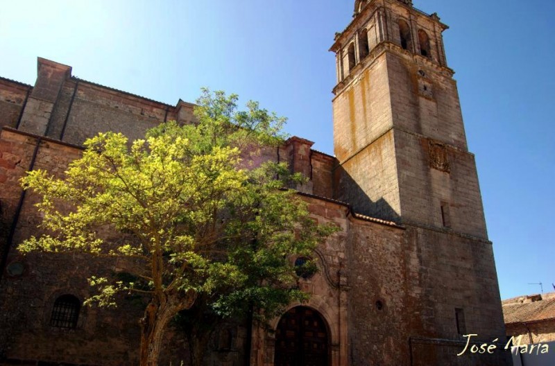 El rbol y la Iglesia